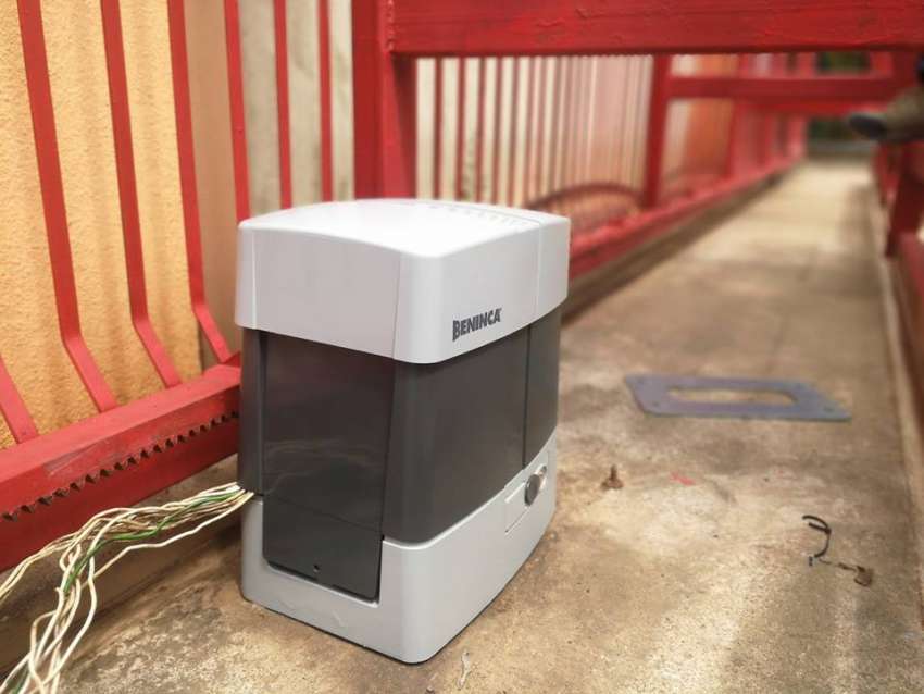 36087084 10214302361967466 1427253117480599552 n